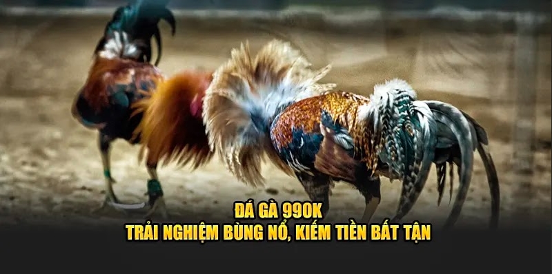 Siêu phẩm đá gà 99OK khiến nhiều người mê mẩn 